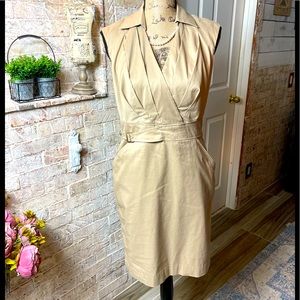 Ann Taylor dress 👗